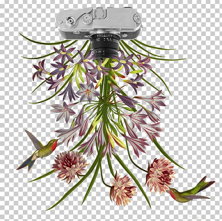 Flower Collage Botany Petal Illustration PNG, Clipart, Anatomy, Behance, Botany, Camera, Collage Free PNG Download
