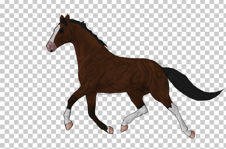 Foal Dog Stallion Mustang Mare PNG, Clipart, Animal Figure, Animals, Bridle, Colt, Diaper Free PNG Download