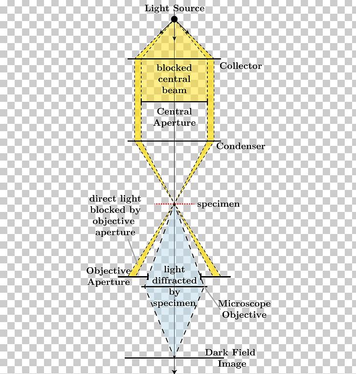 Light Dark-field Microscopy Bright-field Microscopy Optical Microscope PNG, Clipart, Angle, Area, Brightfield Microscopy, Contrast, Darkfield Microscopy Free PNG Download