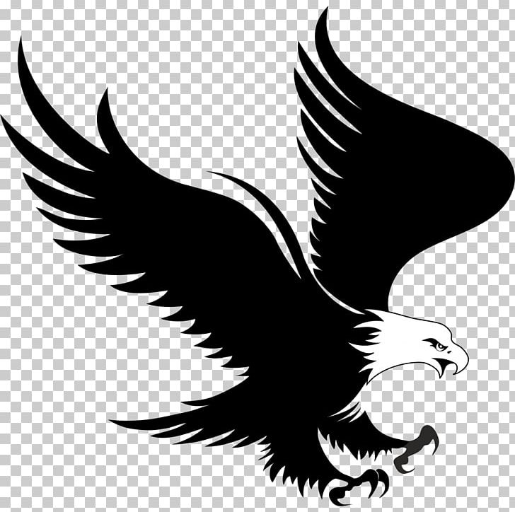 Bald Eagle Logo PNG, Clipart, Animals, Bald Eagle, Beak, Bird, Bird Of Prey Free PNG Download
