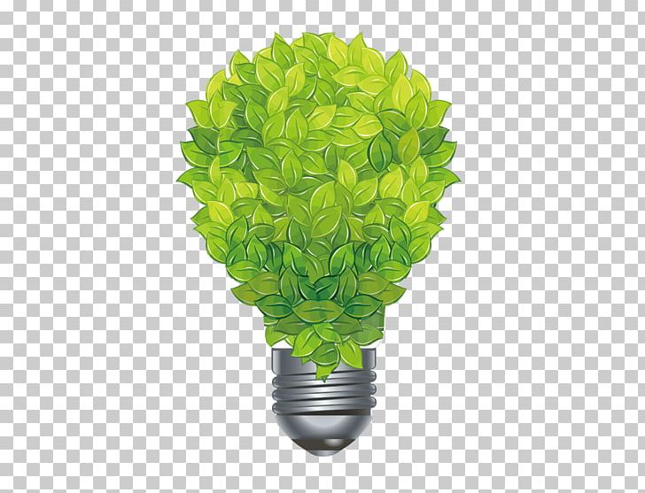 Green PNG, Clipart, Christmas Lights, Color, Computer Network, Download, Environmental Free PNG Download