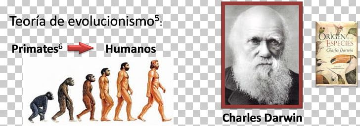 On The Origin Of Species Human Evolution Human Behavior Hair Coloring PNG, Clipart, Amyotrophic Lateral Sclerosis, Behavior, Charles Darwin, Evolution, Great Big Canvas Free PNG Download