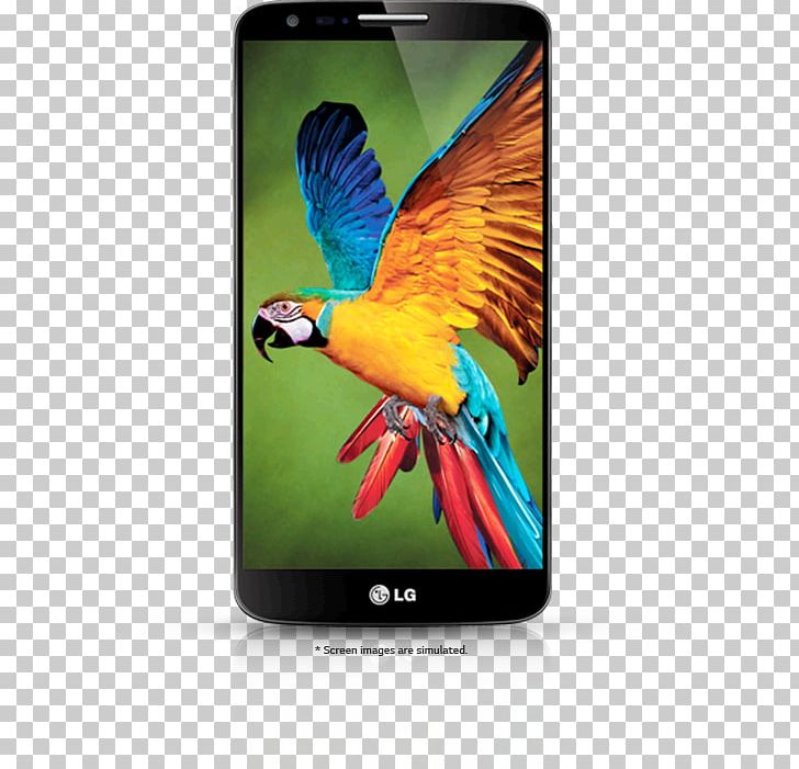 Smartphone LG G2 LG Electronics Telephone T-Mobile PNG, Clipart, Att, Att Mobility, Beak, Communication Device, Electronic Device Free PNG Download