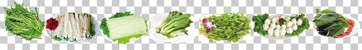 Allium Fistulosum Welsh Cuisine Grasses Cut Flowers Plant Stem PNG, Clipart, Allium, Allium Fistulosum, Commodity, Cut Flowers, Family Free PNG Download