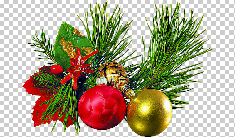 Christmas Decoration PNG, Clipart, American Larch, Branch, Christmas Decoration, Christmas Eve, Christmas Ornament Free PNG Download