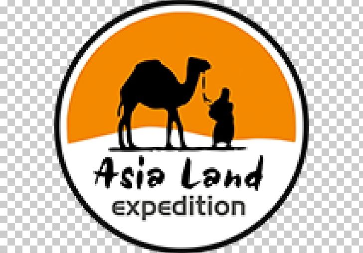 Camel Brand Logo Pékin Express PNG, Clipart, Animals, Area, Asia, Brand, Camel Free PNG Download