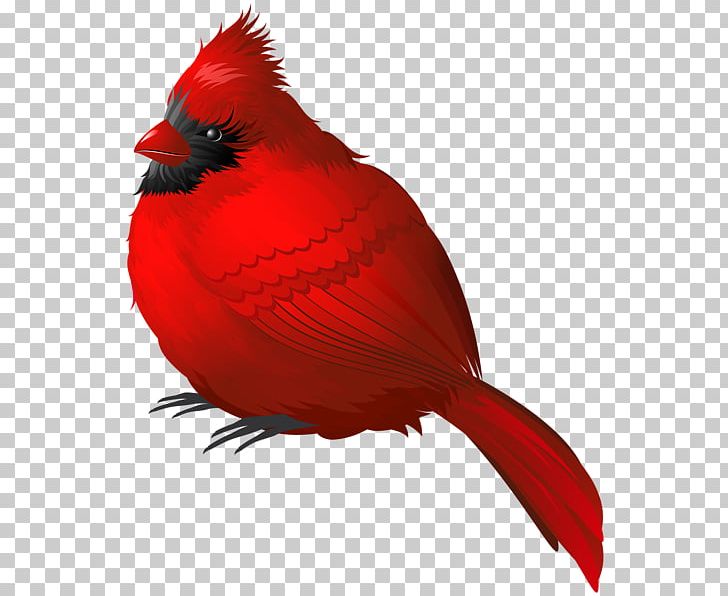 Songbird Northern Cardinal PNG, Clipart, Ameri, Animals, Beak, Bird, Birds Free PNG Download