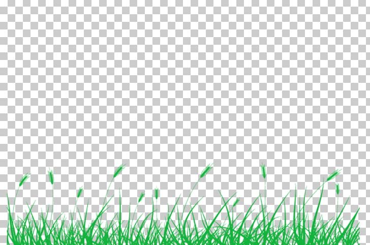 Lawn Pens Meadow Grasses PNG, Clipart, Bamboo, Blog, Commodity, Computer, Computer Wallpaper Free PNG Download