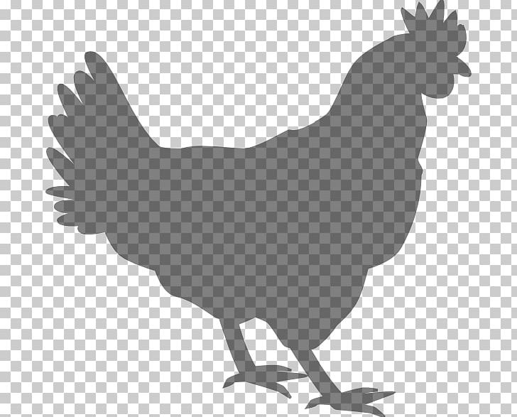 Chicken Rooster Poultry PNG, Clipart, Animals, Beak, Bird, Black And White, Chicken Free PNG Download
