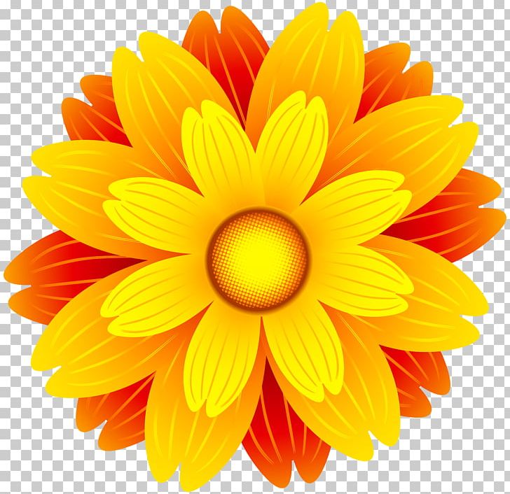 Flower Orange PNG, Clipart, Chrysanths, Clip Art, Color, Cut Flowers, Dahlia Free PNG Download
