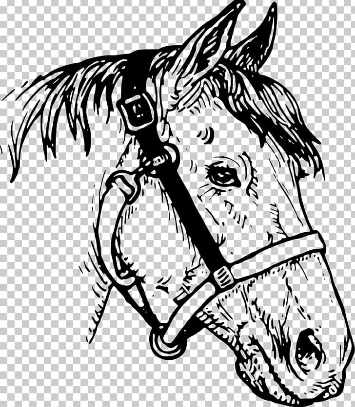Horse Drawing PNG, Clipart, Animals, Arm, Black, Carnivoran, Cartoon Free PNG Download