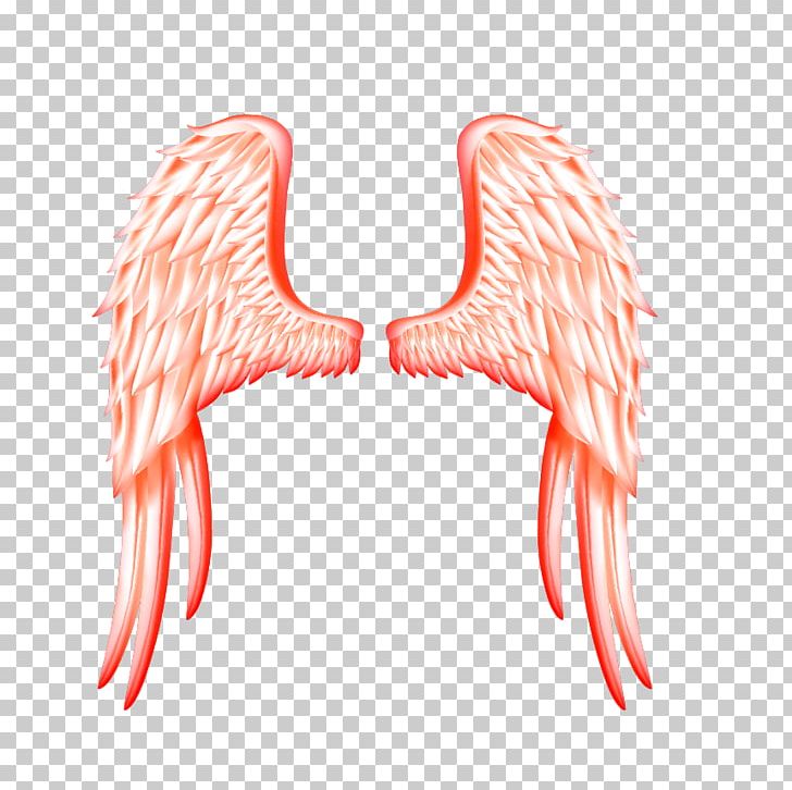 Wing Cartoon PNG, Clipart, Adobe Illustrator, Angel, Angel Wing, Angel Wings, Beak Free PNG Download