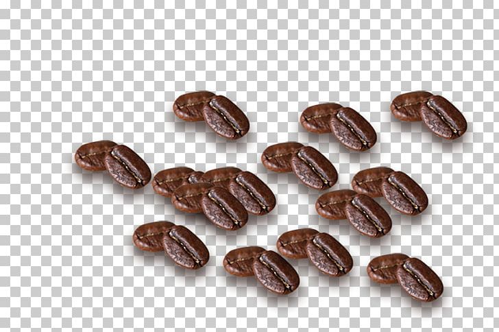 Coffee Bean Cafe PNG, Clipart, Bean, Beans, Brown, Cafe, Caryopsis Free PNG Download