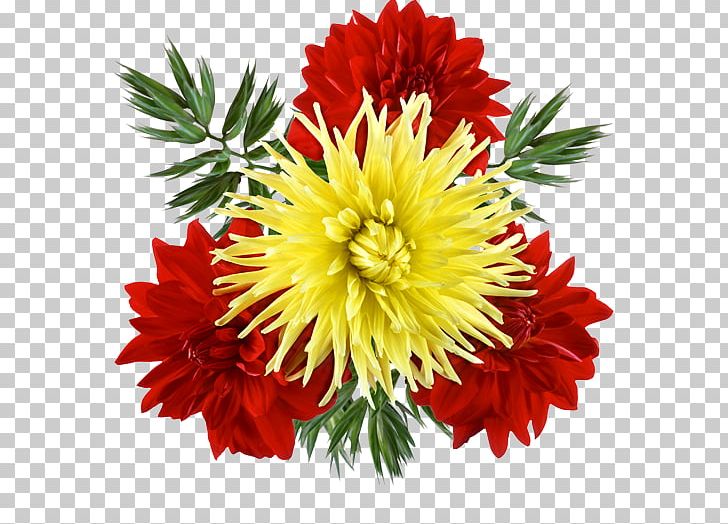 Cut Flowers Chrysanthemum PNG, Clipart, Annual Plant, Aster, Blanket Flowers, Carnation, Dahlia Free PNG Download