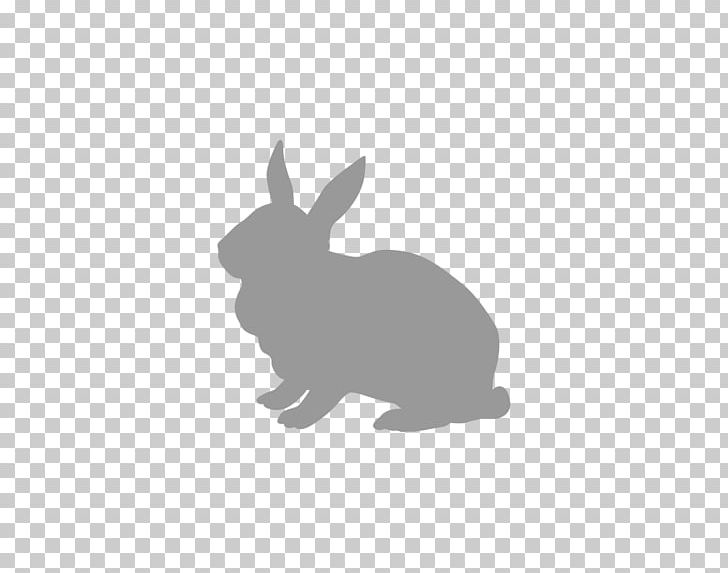 Domestic Rabbit Hare Lionhead Rabbit Easter Bunny PNG, Clipart, Animals, Black, Black And White, Canidae, Dog Free PNG Download
