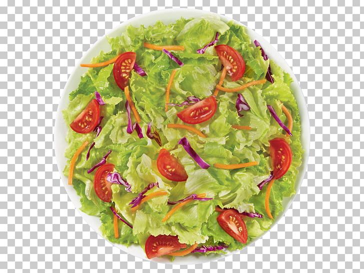 Salad Leaf Vegetable Food Romaine Lettuce PNG, Clipart, Cabbage, Carrot, Dish, Eating, Food Free PNG Download