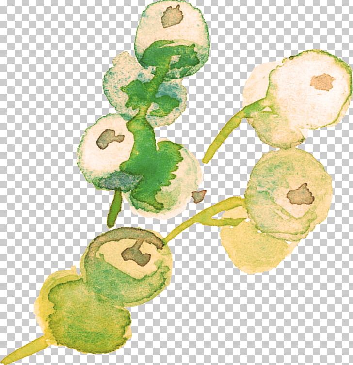 Plant Painting PNG, Clipart, Color, Color Painting, Decoration, Diagram, Download Free PNG Download