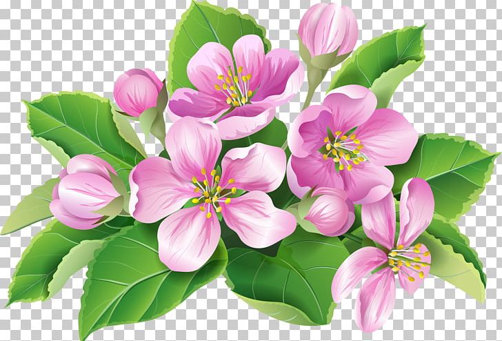 Flower Blossom PNG, Clipart, Art, Blossom, Branch, Drawing, Flower Free PNG Download