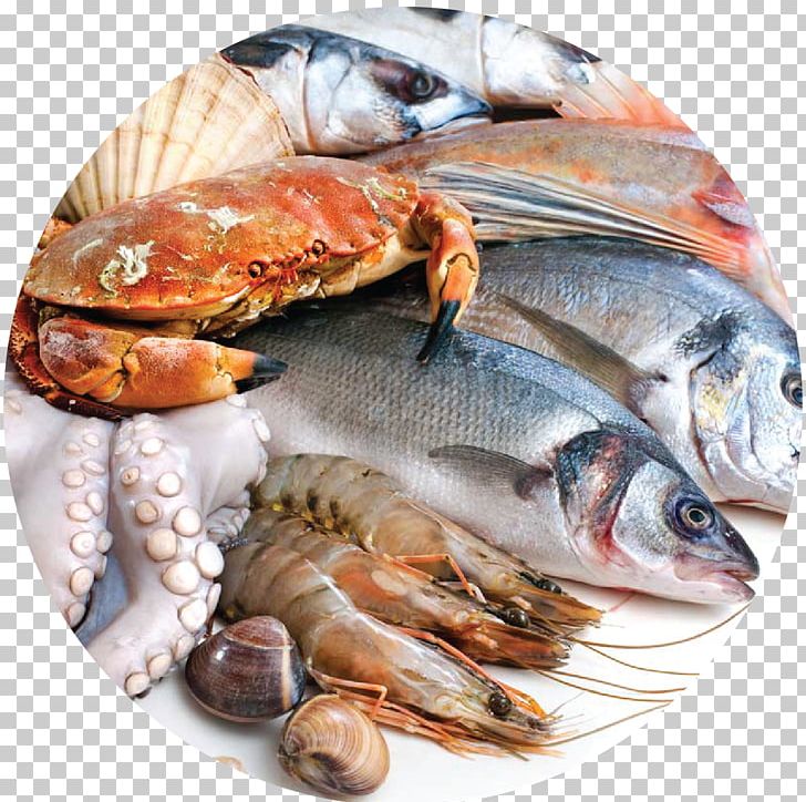 Seafood Fishcakes Paella PNG, Clipart, Animals, Animal Source Foods, Cooking, Fish, Fishcakes Free PNG Download