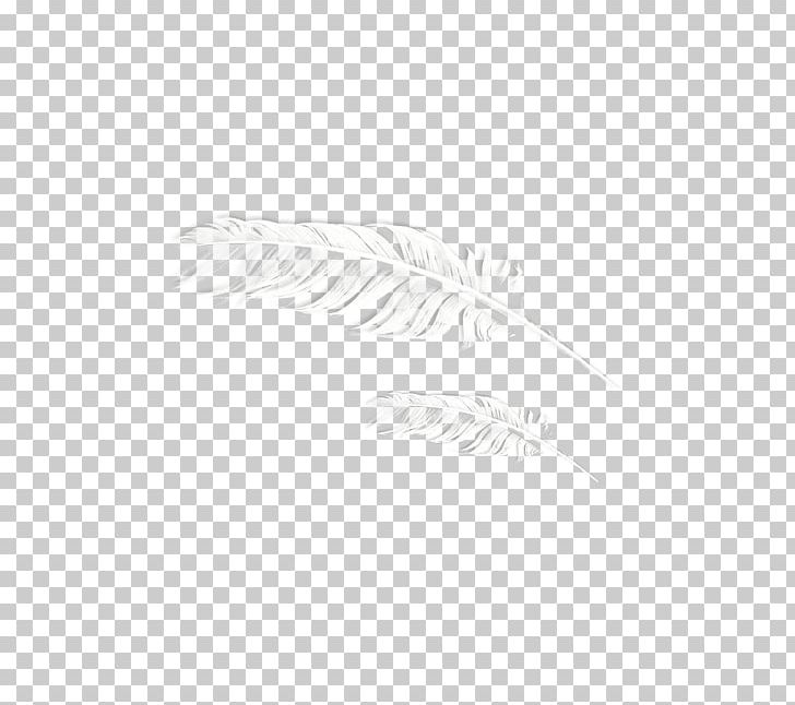 Black And White PNG, Clipart, Angle, Animals, Art, Black And White, Circle Free PNG Download