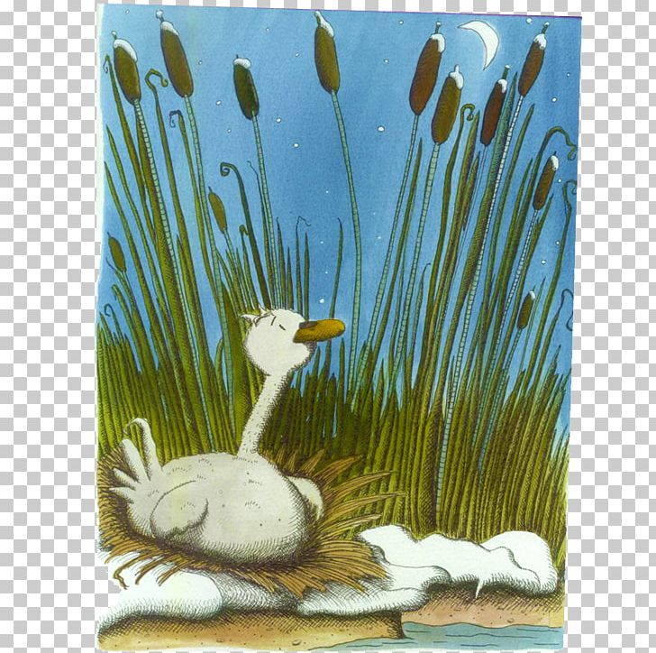 Goose Cygnini Duck Anatidae Water Bird PNG, Clipart, Anatidae, Bird, Cygnini, Duck, Ducks Geese And Swans Free PNG Download