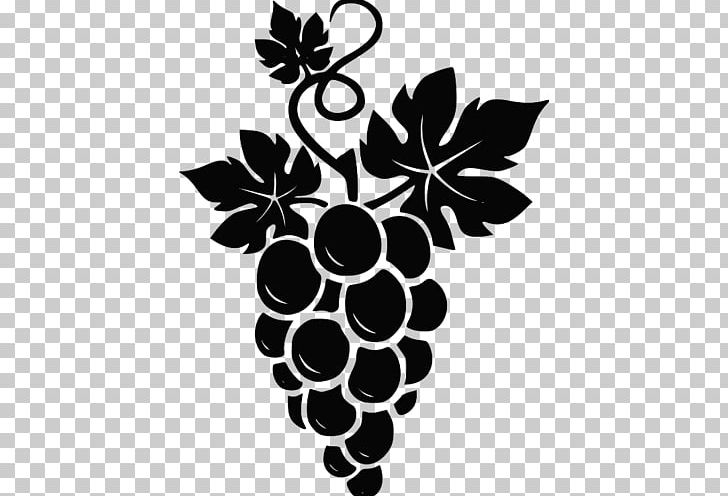 Graphics Common Grape Vine Illustration PNG, Clipart, Black And White, Flora, Flower, Flowering Plant, Food Free PNG Download