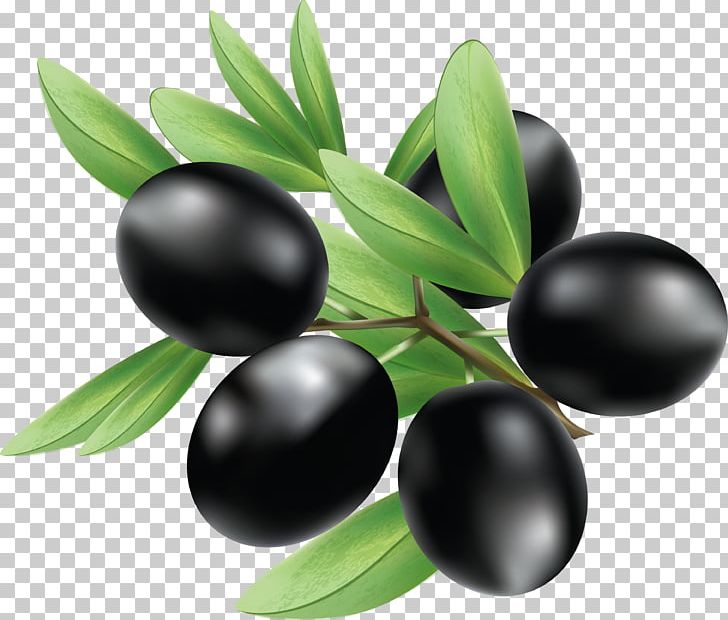 Olive Illustration PNG, Clipart, Berry, Black Olives, Black Olives Png, Computer Icons, Encapsulated Postscript Free PNG Download