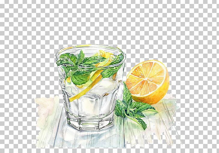 Juice Carbonated Drink Painting Food PNG, Clipart, Cucumber Lemonade, Cup, Drawing, Drink, Fruit Free PNG Download