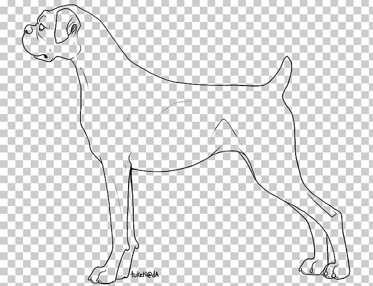 Dog Breed Line Art Boxer Drawing Free Base PNG, Clipart, Anatomy, Artwork, Base, Black And White, Boxer Free PNG Download