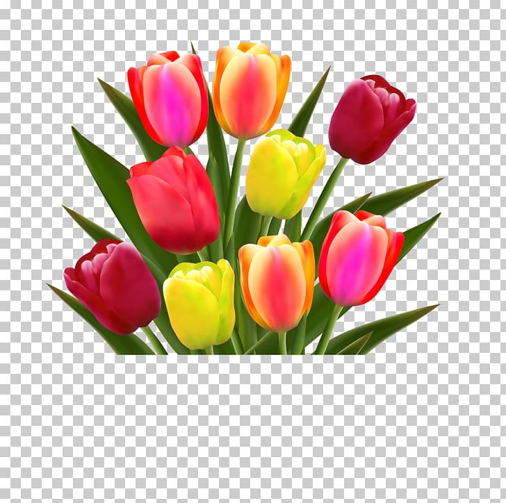 Flower Tulip Stock Photography Illustration PNG, Clipart, Art, Artificial Flower, Cut Flowers, Day, Drawing Free PNG Download