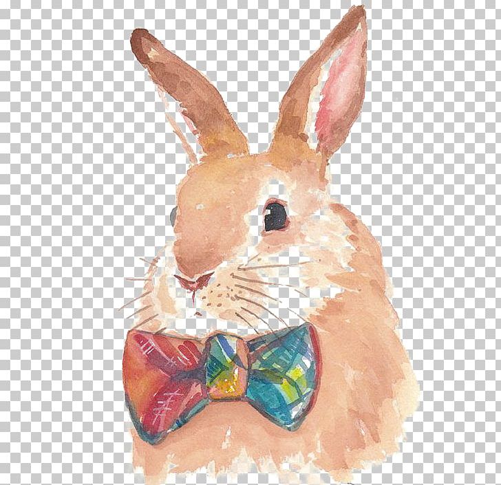 Hare Bunnies & Rabbits Watercolor Painting Drawing PNG, Clipart, Animal, Animals, Art, Artist, Bow Free PNG Download
