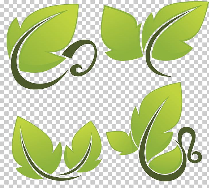 Leaf Photography Logo PNG, Clipart, Depositphotos, Digital Image, Flora, Grass, Green Free PNG Download