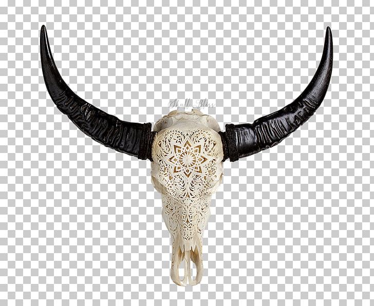 Cattle Horn Animal Skulls Water Buffalo PNG, Clipart, Animal, Animal Skulls, Bone, Bull, Calavera Free PNG Download