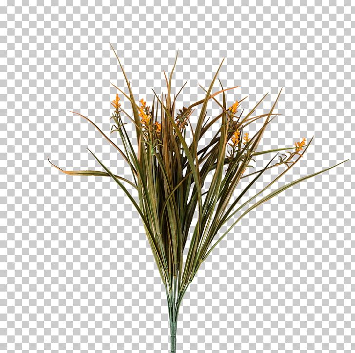 Flower Plants Houseplant Dracaena Sweet Grass PNG, Clipart, Artificial Flower, Branch, Commodity, Dracaena, Dracaena Reflexa Var Angustifolia Free PNG Download
