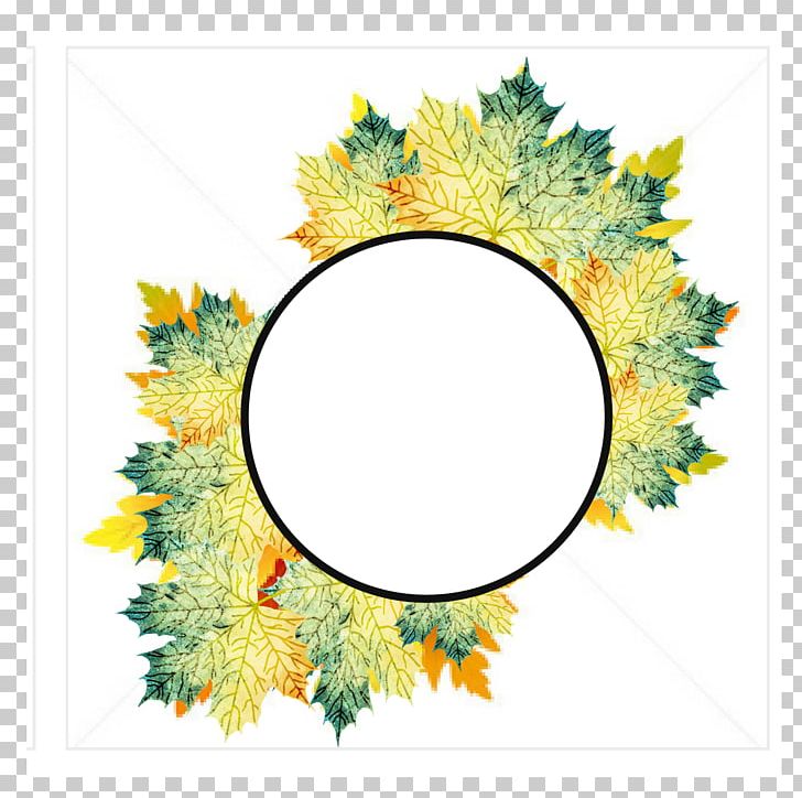 Maple Leaf Cut Flowers PNG, Clipart, Branch, Christmas Decoration, Decor, Encapsulated Postscript, Flower Free PNG Download