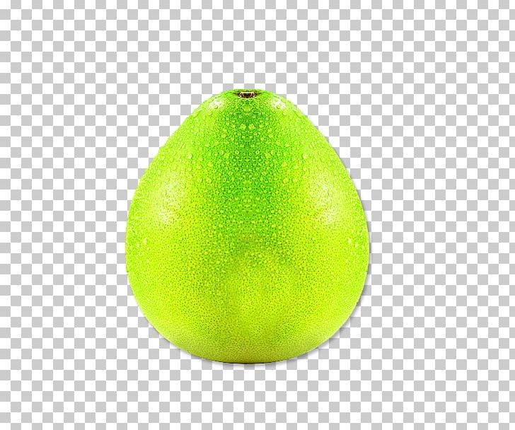 Persian Lime Citron Key Lime Sweet Lemon PNG, Clipart, Acid, Avocado, Citric Acid, Citrus, Food Free PNG Download
