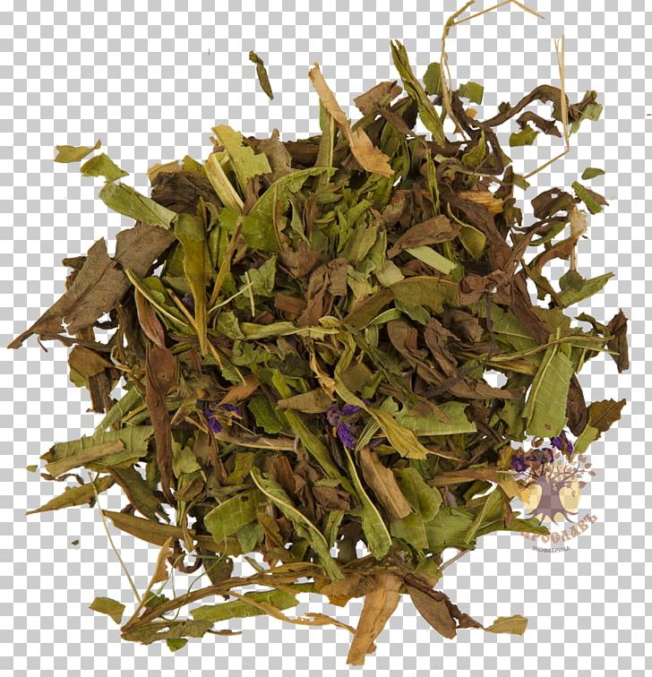 Tea Kazan Berdsk Zelenodolsk Fireweed PNG, Clipart, Berdsk, Bugulma, Decoction, Fireweed, Food Drinks Free PNG Download