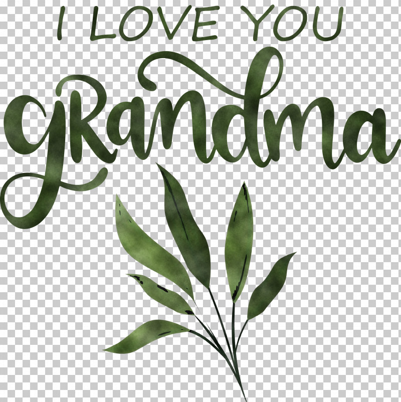 Grandmothers Day Grandma PNG, Clipart, Biology, Branching, Flower, Grandma, Grandmothers Day Free PNG Download