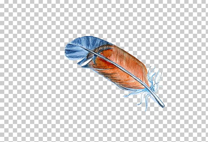 Bird Feather Illustration PNG, Clipart, Animals, Art, Beautiful, Bird, Cartoon Free PNG Download