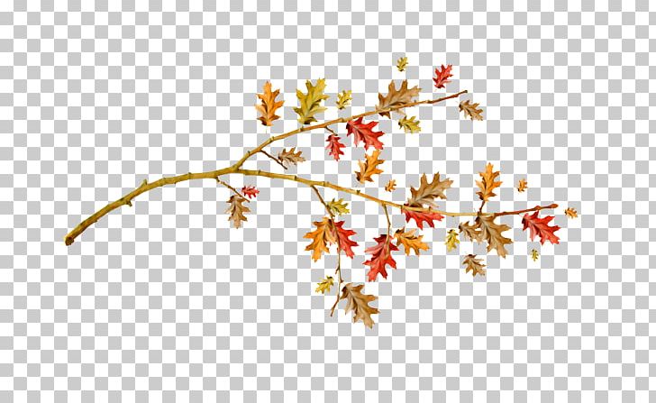 Drawing Twig Cartoon PNG, Clipart, Architecture, Beautiful, Branch, Cartoon, Drawing Free PNG Download
