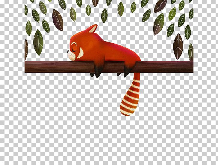 Red Panda Giant Panda Raccoon Drawing Illustration PNG, Clipart, Animal, Animals, Aquarelle Raccoon, Branches, Carnivora Free PNG Download