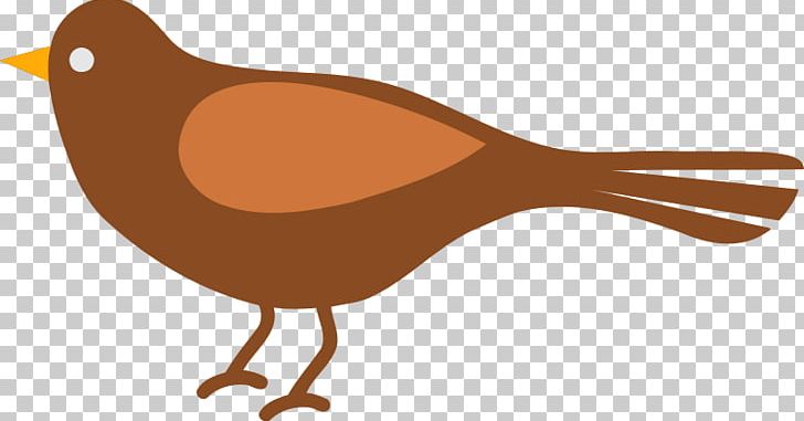 Chicken Bird Graphics PNG, Clipart, Beak, Bird, Cartoon, Chicken, Desktop Wallpaper Free PNG Download