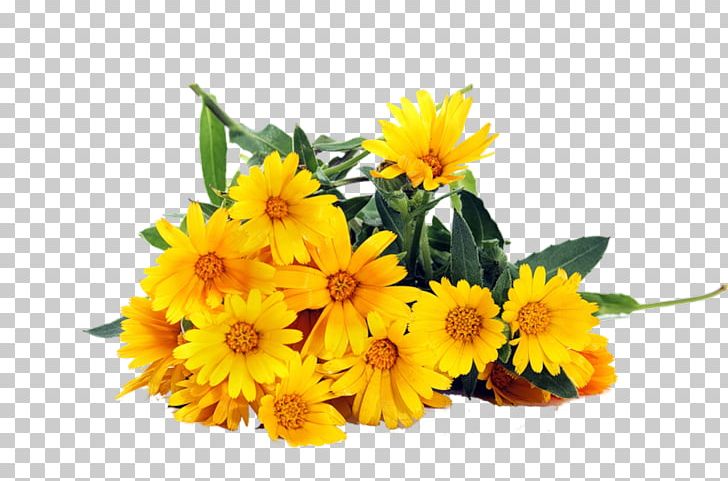 Flower Bouquet Yellow Common Daisy Stock Photography PNG, Clipart, Annual Plant, Calendula, Chrysanthemum, Chrysanths, Color Free PNG Download