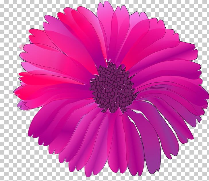 Pink Flowers PNG, Clipart, Annual Plant, Aster, Chrysanths, Computer Icons, Copyright Free PNG Download