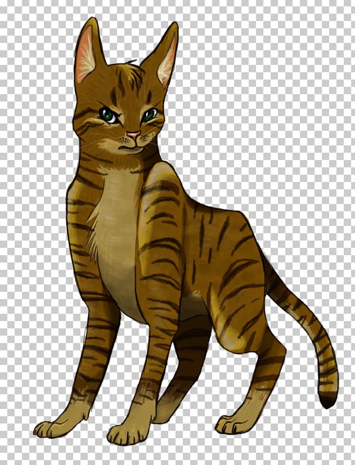 Toyger Bengal Cat California Spangled Sokoke Tabby Cat PNG, Clipart, Animal, Animal Figure, Asian, Bengal, Carnivoran Free PNG Download