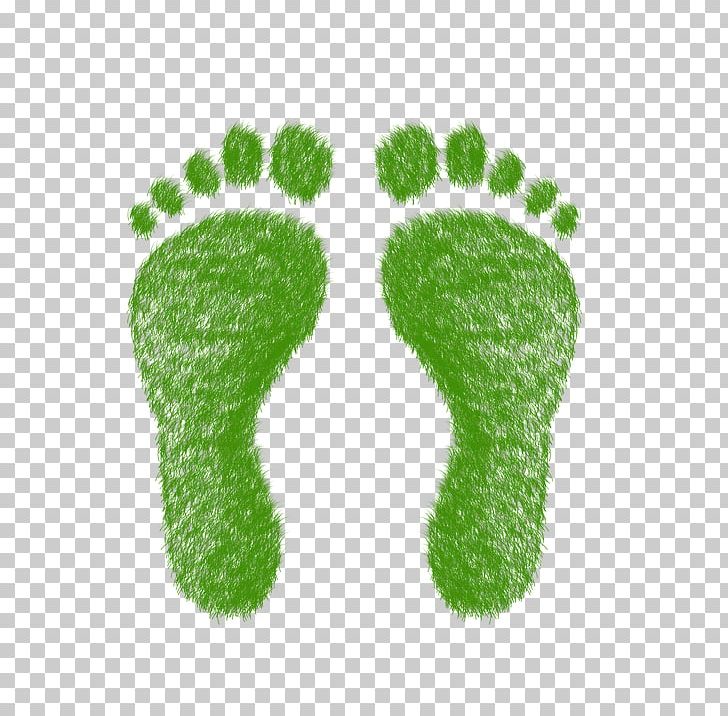 Carbon Footprint Ecological Footprint Ecology PNG, Clipart, Carbon Footprint, Cement, Ecological Footprint, Ecology, Foot Free PNG Download