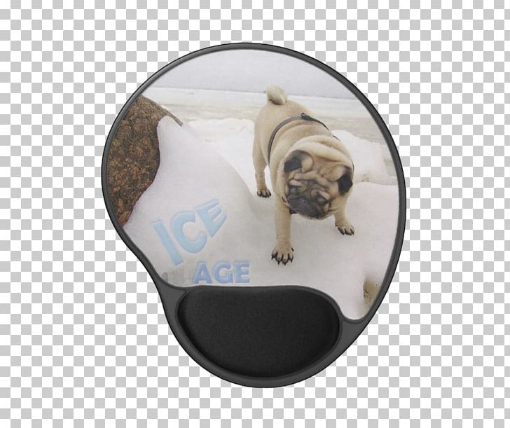 Pug Dog Breed Ice Age Toy Dog PNG, Clipart, Breed, Carnivoran, Craft Magnets, Crossbreed, Dog Free PNG Download
