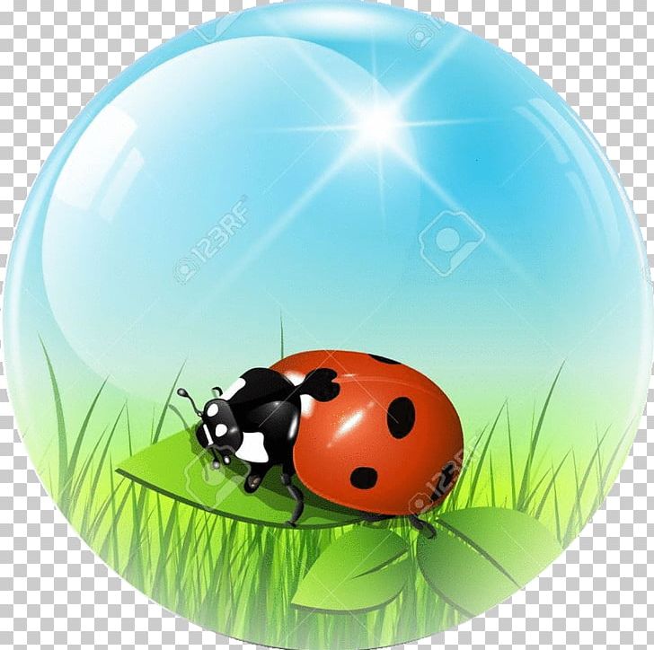 Sphere Ball PNG, Clipart, Arthropod, Bahar, Ball, Beetle, Computer Free PNG Download