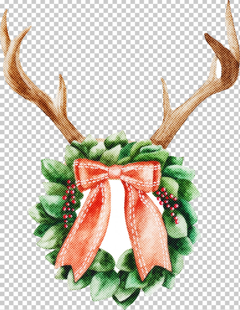 Reindeer PNG, Clipart, Antler, Deer, Horn, Plant, Reindeer Free PNG Download