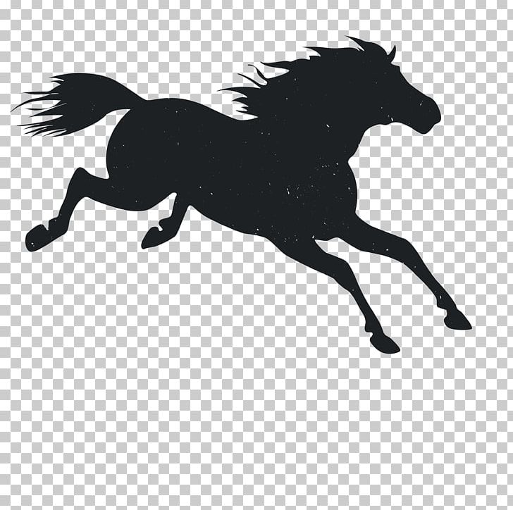 Mustang Pony Animal PNG, Clipart, Animal, Animals, Anime Character, Black, Bridle Free PNG Download